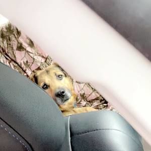 Meet your Posher, Madison